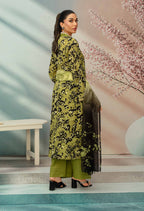 Gull-E-Rukh WIRSA (VOL-671): gallery 7