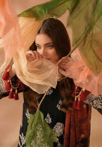 Sobia Waseem BELLA 0.5 VOL-2688 Design 02 Unstitched Lawn Suit - Sobia Waseem unstitched lawn suit image 1