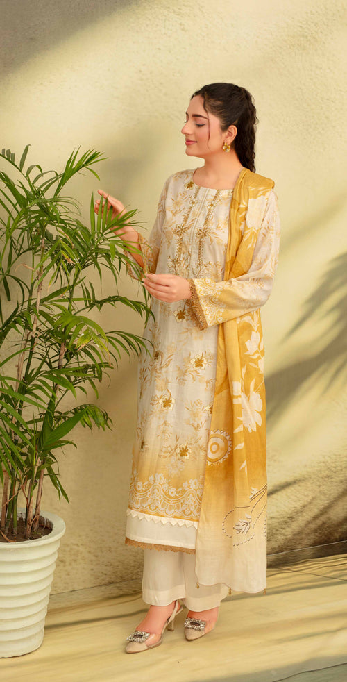 Bin Iqbal NAFEES (VOL-616): gallery 2