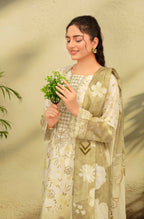 Bin Iqbal NAFEES (VOL-616): gallery 2